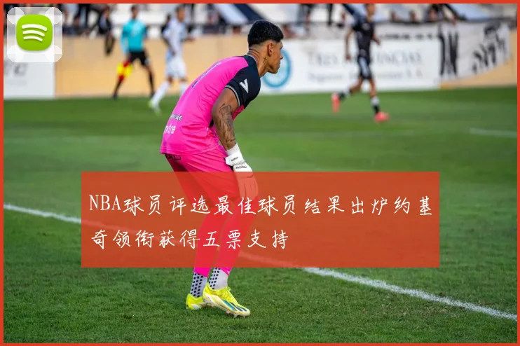 NBA球员评选最佳球员结果出炉约基奇领衔获得五票支持
