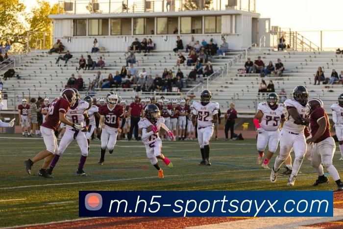 爱游戏发展历程